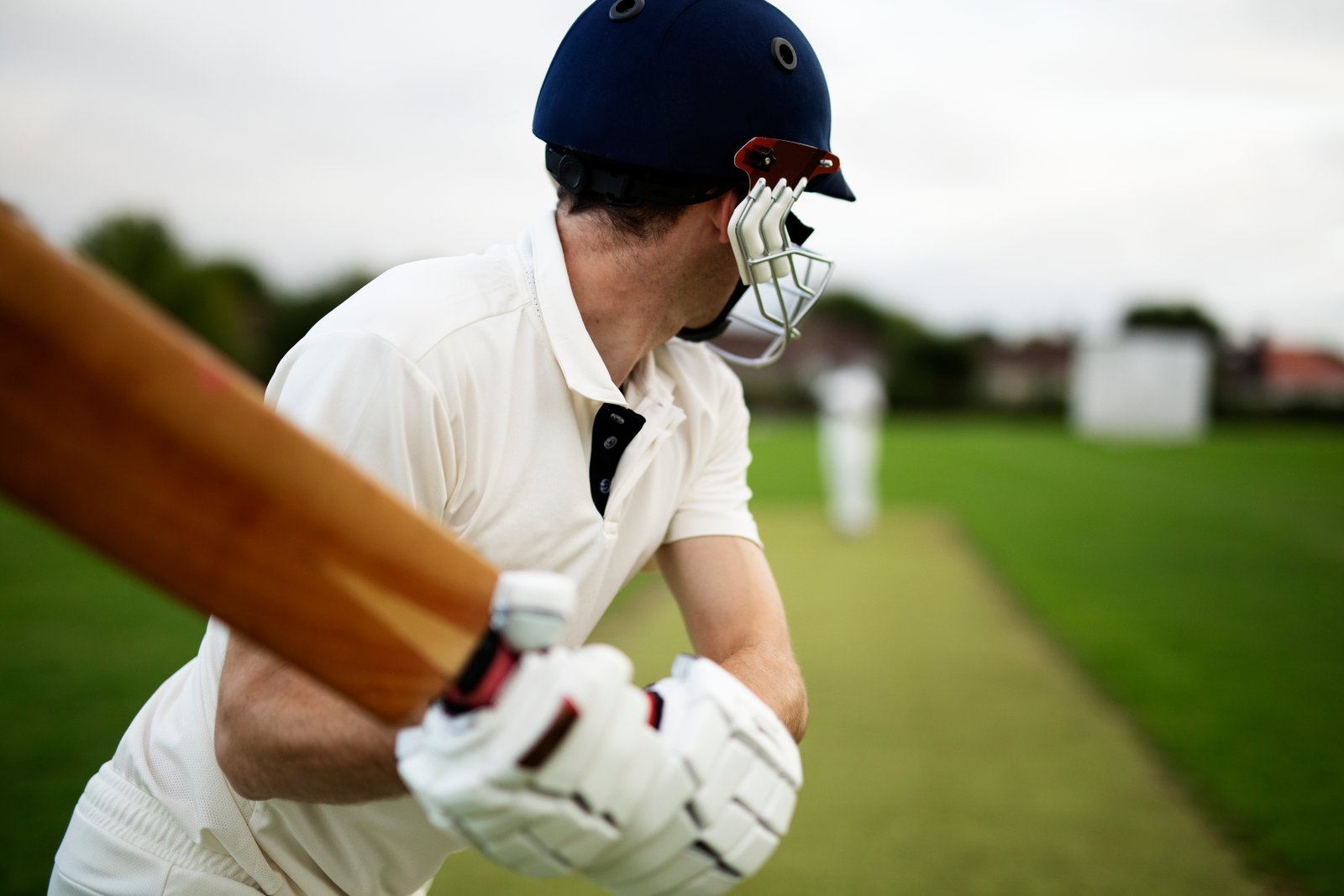 Cricket Celebration